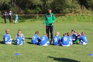 kaiyun登录入口-意甲赛事中应用心理暗示战术干预效果研究